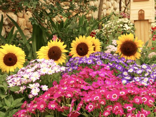 Expoflora, Holambra e Campos do Jordão